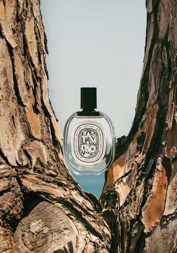 Diptyque 蒂普提克 Tam Dao 譚道淡香水 Eau de Toilette