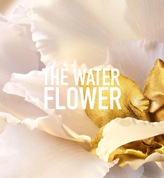 Dior J'adore 香氛 Eau de Parfum 陽光花香調