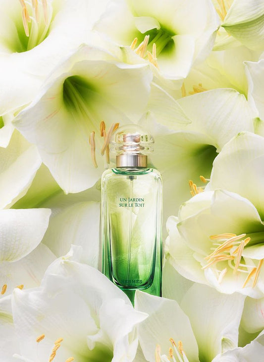 Hermès 愛馬仕 屋頂花園 Un Jardin sur le Toit 淡香水 Eau de Toilette