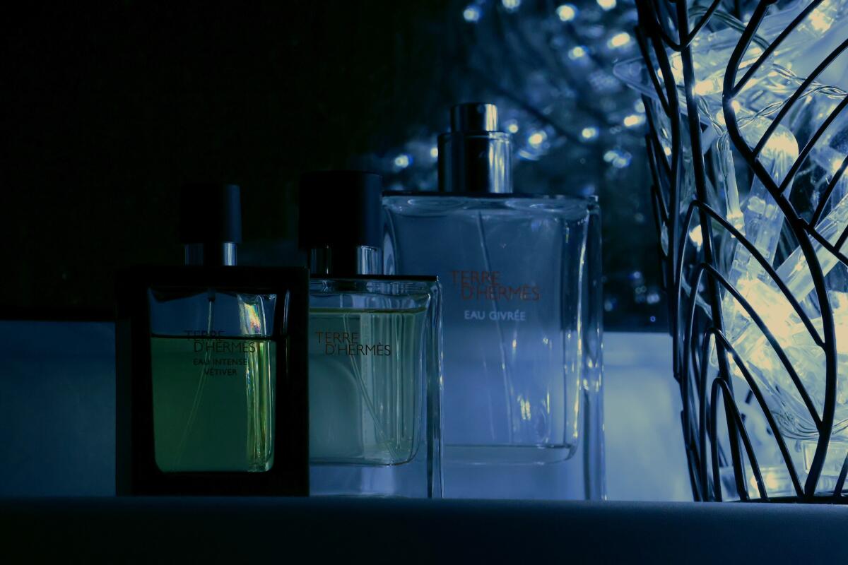 Hermès 愛馬仕 愛馬仕大地 Terre d'Hermès 淡香水 Eau de Toilette