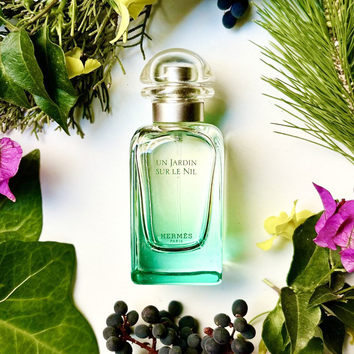 Hermès 愛馬仕 尼羅河花園 Un Jardin sur le Nil 淡香水 Eau de Toilette