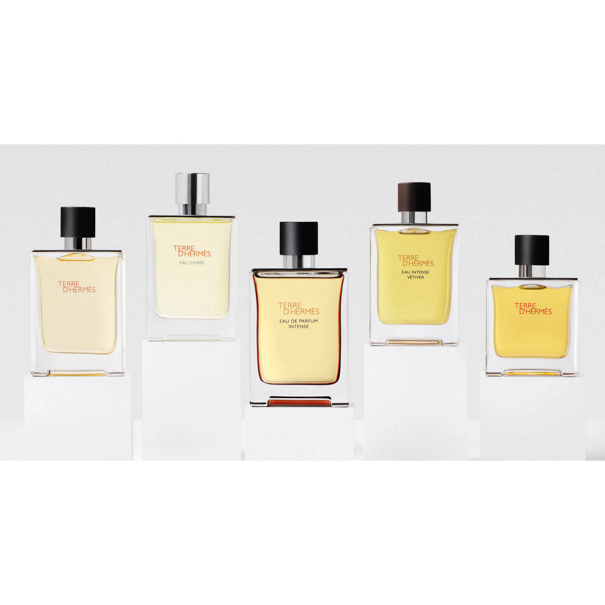 Hermès 愛馬仕 愛馬仕大地 Terre d'Hermès 香精 Parfum