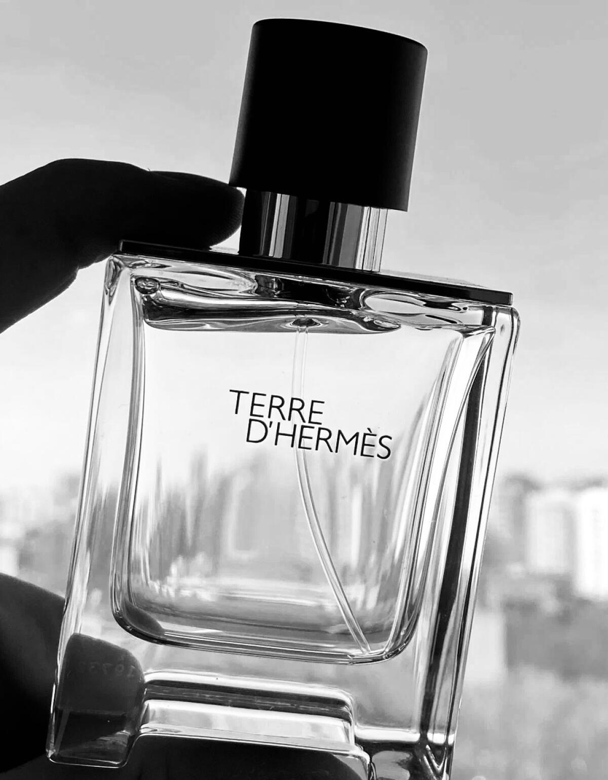 Hermès 愛馬仕 愛馬仕大地 Terre d'Hermès 淡香水 Eau de Toilette