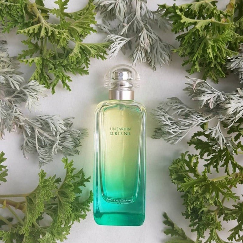 Hermès 愛馬仕 尼羅河花園 Un Jardin sur le Nil 淡香水 Eau de Toilette