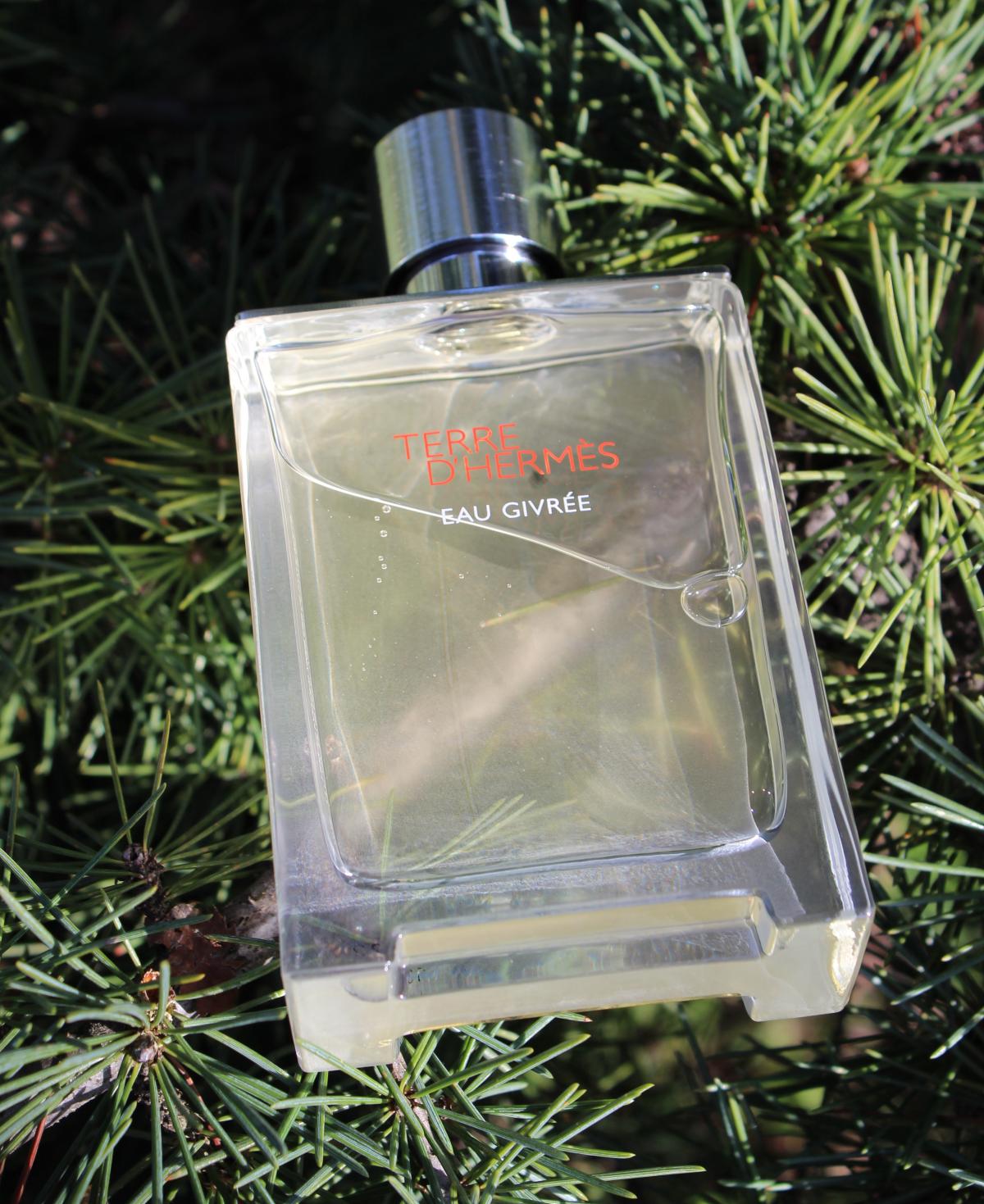 Hermès 愛馬仕 愛馬仕大地冷冽之水 Terre d'Hermès Eau Givrée 淡香精 Eau de Parfum