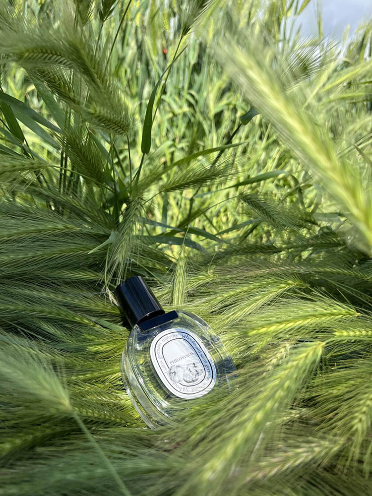Diptyque 蒂普提克 Philosykos 希臘無花果淡香水 Eau de Toilette - 50ML