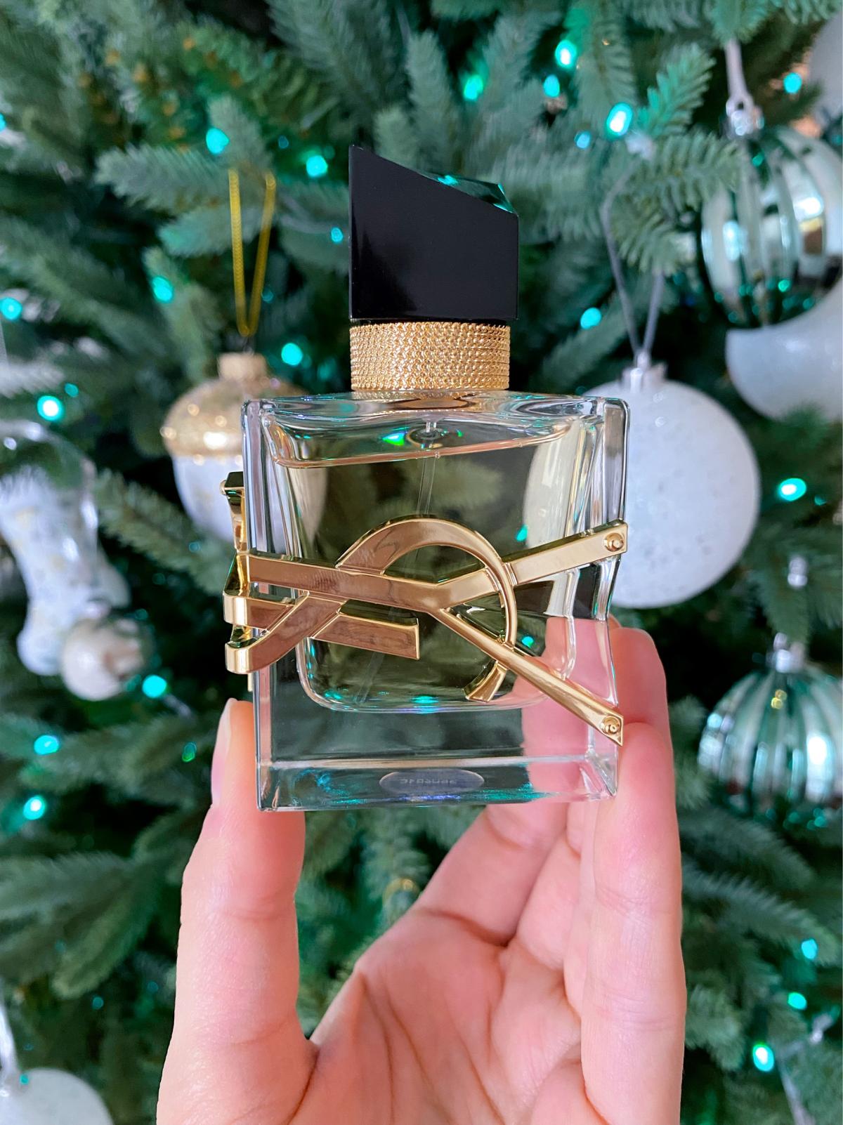 YSL 聖羅蘭 LIBRE 自由不羈淡香精 Eau de Parfum