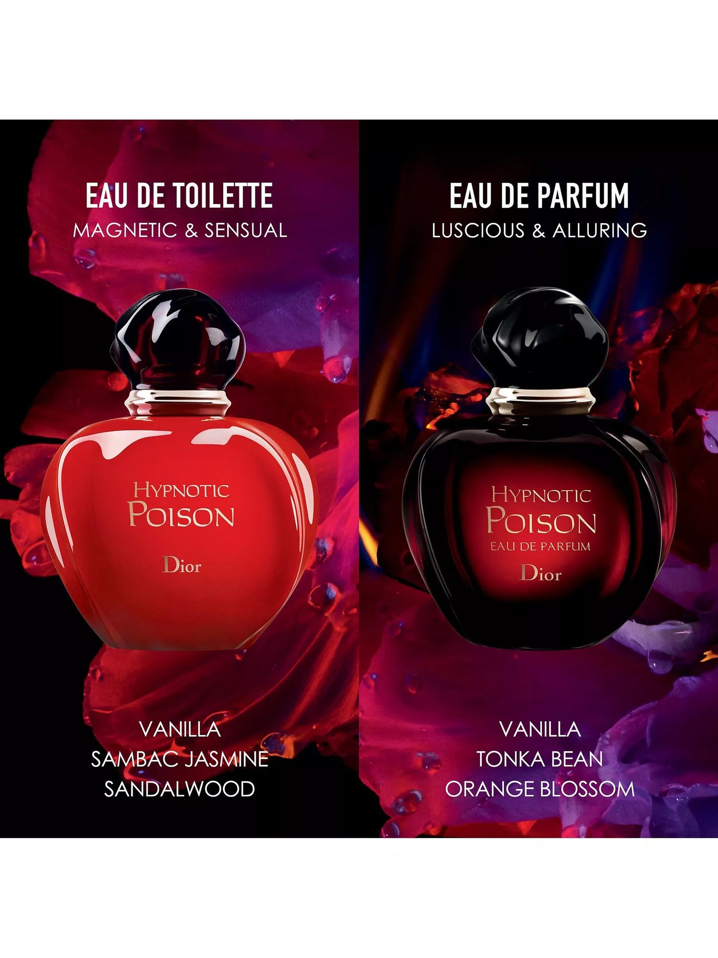 Dior Hypnotic Poison 紅毒藥女性淡香水 Eau de Toilette