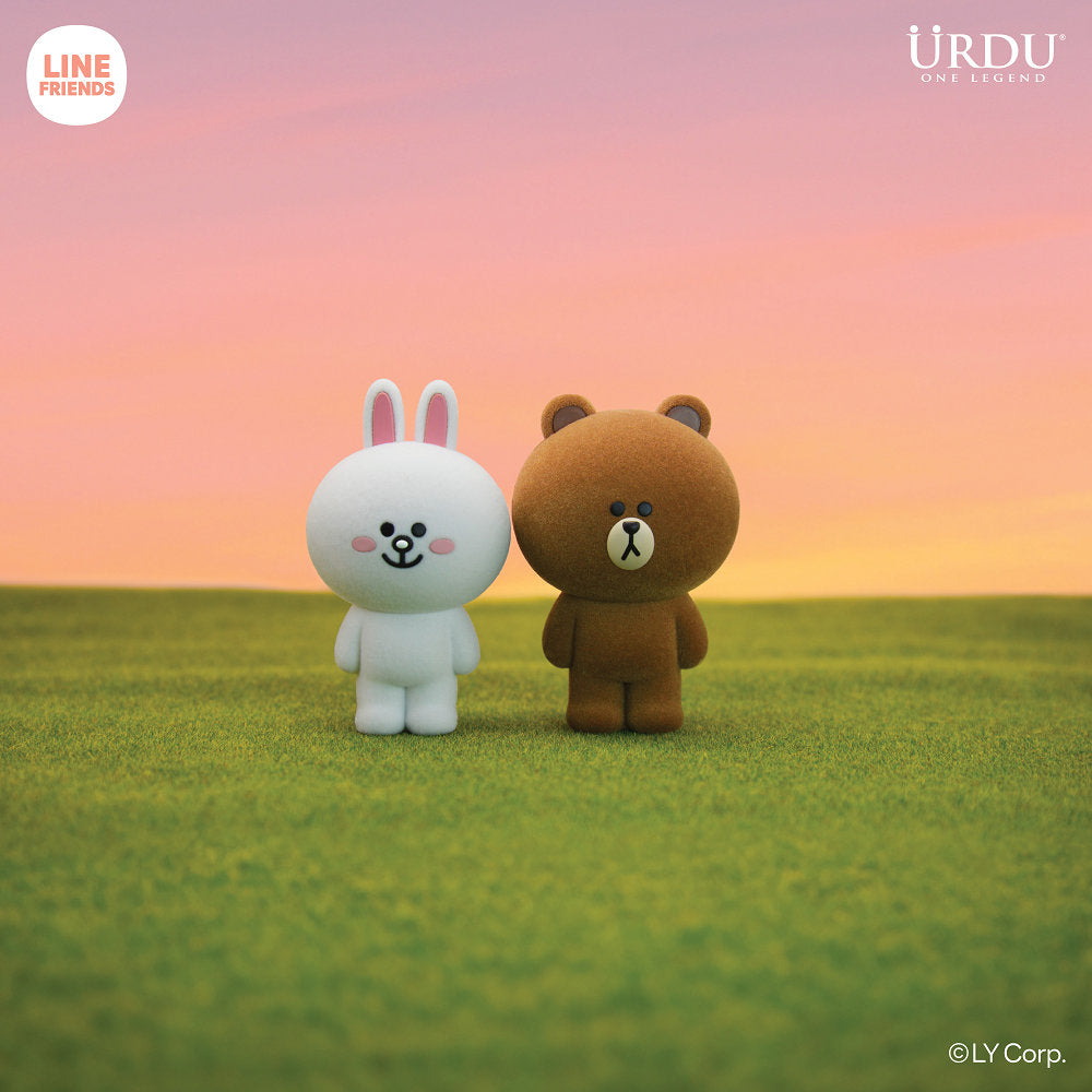 LINE FRIENDS BROWN植絨系列 6入盲盒套組 熊大兔兔