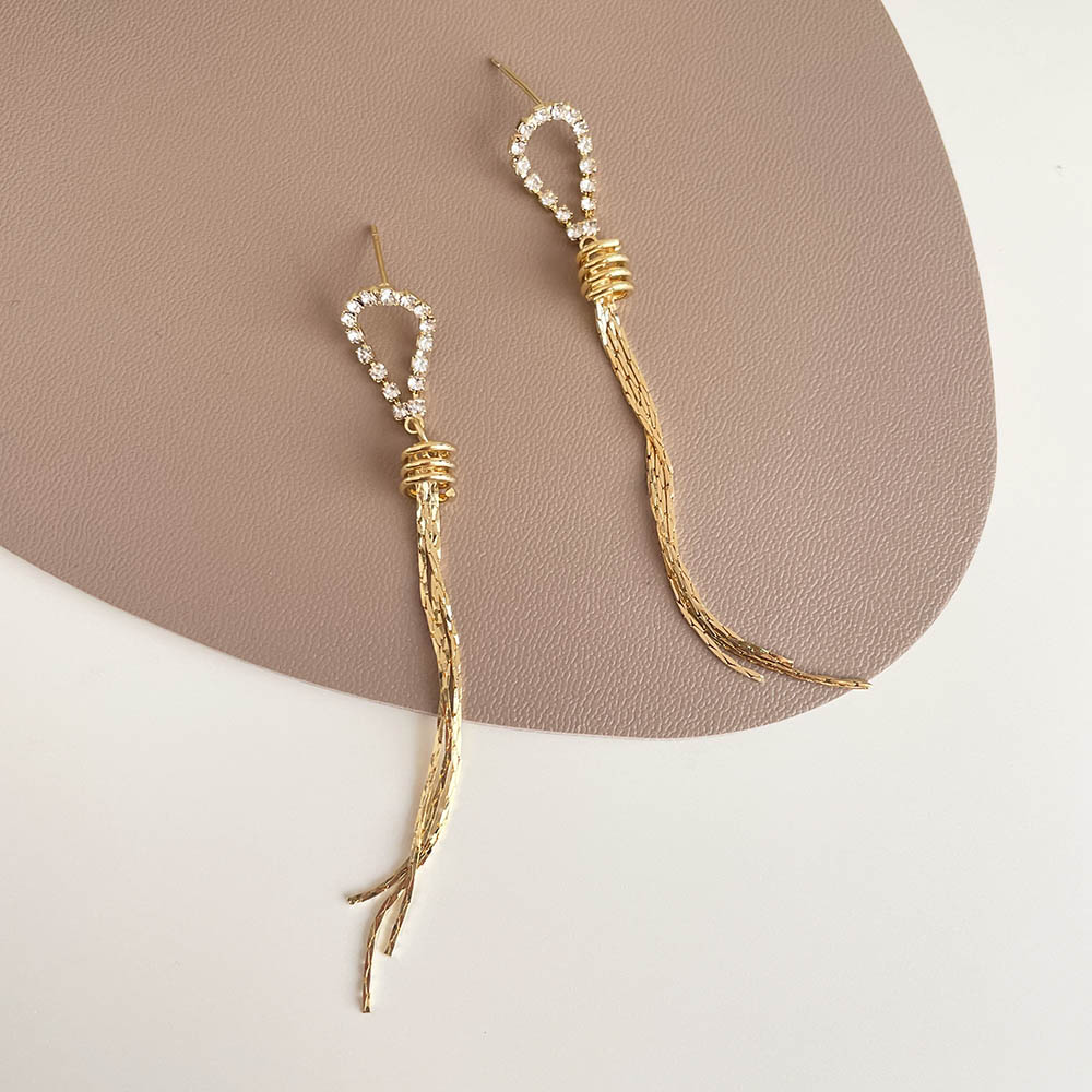 水鑽圓環流蘇垂墜耳環 - 925純銀針