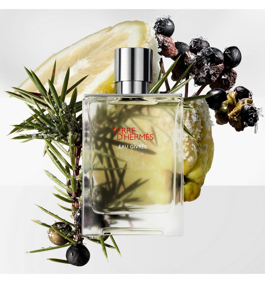 Hermès 愛馬仕 愛馬仕大地冷冽之水 Terre d'Hermès Eau Givrée 淡香精 Eau de Parfum